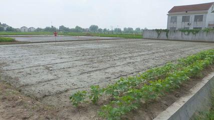 蘆荻山鄉 完善田間基礎設施 創新托管服務模式 全力提升農業綜合生產能力