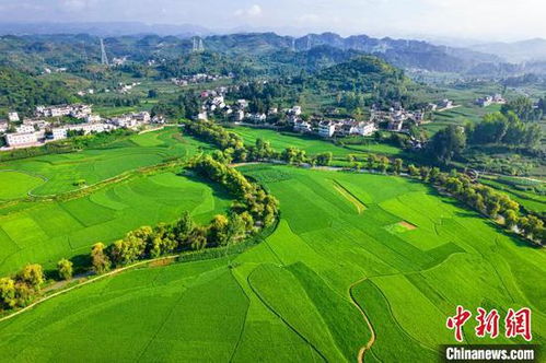綠意盎然黔西夏，基建賦能田園興